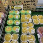 道の駅 富士川 - 