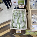 道の駅 富士川 - 