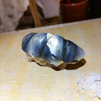 自由が丘 鮨 りんか - 