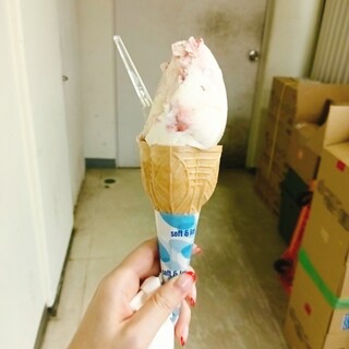 岩瀬牧場 ジェラードショップ_2