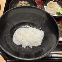 銀座 稲葉 - 白米