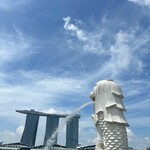 Tian Tian Hainanese Chicken Rice - 