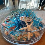 Restaurant THE MOON - 