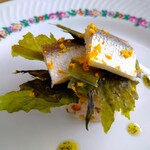 リストランテ ボルゴ・コニシ - つまみ御料から生まれた大和イタリアン「干しカマスと板ワカメのインサラータ・ディ・リーゾ」