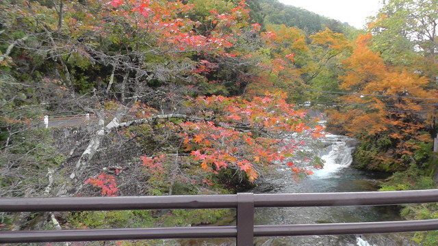 紅葉館（コウヨウカン） - 南会津町その他（旅館・民宿）の写真