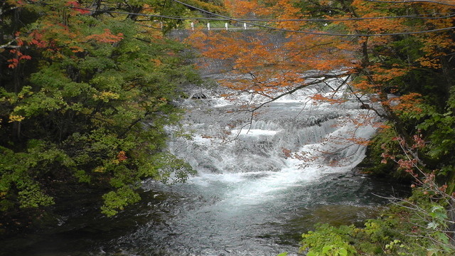 紅葉館（コウヨウカン） - 南会津町その他（旅館・民宿）の写真