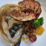 ベラ・ルーサ - 