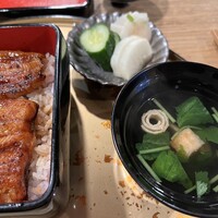 うなぎ 目白ぞろ芽 - 