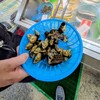 魚為