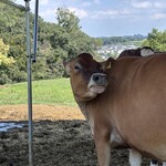 TOKYO FARM VILLAGE FARM BASEL - 