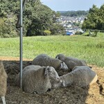 TOKYO FARM VILLAGE FARM BASEL - 
