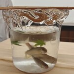 日本料理 久丹 - 天竜川の鮎です。名残りです