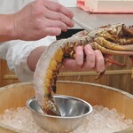 日本料理 久丹 - 頭の味噌を取り出しているところ