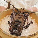 日本料理 久丹 - この伊勢海老は半端なくでっかいヾ(≧▽≦)ﾉ