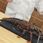日本料理 久丹 - 大きさが伝わるかな？