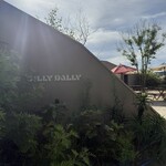 DILLY DALLY - 