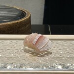 鮨 なんば - 春子