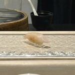 鮨 なんば - 白甘鯛