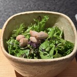 日本焼肉はせ川 別亭 - 柔らかい食感のサラダ。すっごい美味しい。