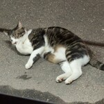 井手ちゃんぽん - 