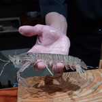 鮨匠 のむら - クリスタルシャコ