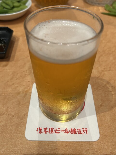 Nagoya Beer En Koyo En