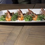 レッドフランマ - 