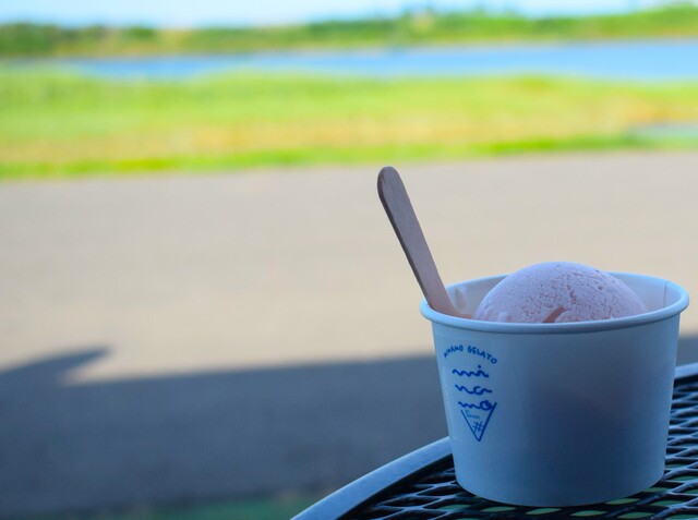 MINAMO GELATO（ミナモ ジェラート） - 美田園（ジェラート・アイスクリーム）の写真