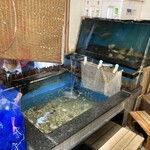 鳥獣菜魚 あい川 - 生簀