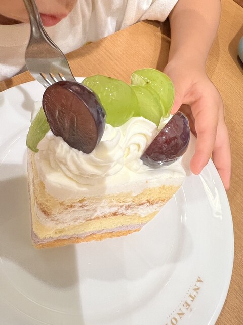 Antenor Kashihara Kintetsu Ten photo 3