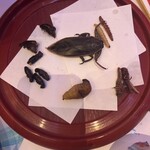 獣肉酒家 米とサーカス - 