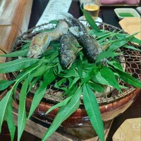 二条有恒 - 