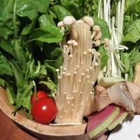 しゃぶしゃぶKINTAN 表参道店 - 