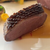 トゥールダルジャン 東京 - 鴨かも　　ほんと〜においしい　かも