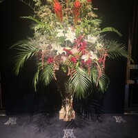 トゥールダルジャン 東京 - 暗いトンネルの先に、ドラマの演出　帰り写真撮影はここで❣️
