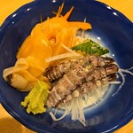 浜ッ子寿し - 青ヤギと子持ちシャコのお刺身