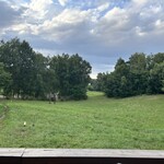 ツキサップじんぎすかんクラブ - 席からの景色