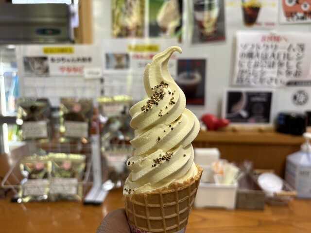 清柳苑（せいりゅうえん） - 会津柳津（そば）の写真