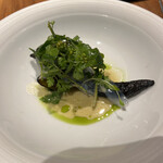 ル スプートニク - 