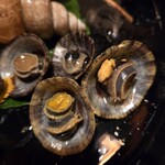 松江の味 郷土料理 出雲 川京 - 