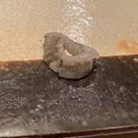 すし匠 まさ - 
