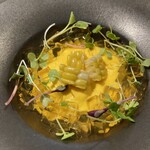 サンフォコン - 