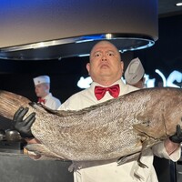 照寿司 - 名物25kgのクエ！