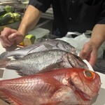 麹町ビストロ 階段の途中 - 