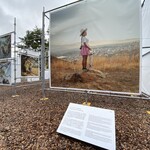 Mahoroba - Currently Ongoing