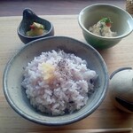 なないろのんた - 