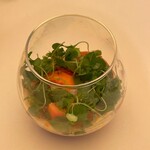 アーフェリーク白金 - 