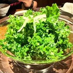 おきる - ケールのサラダ