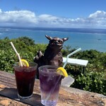 カフェくるくま - 