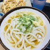 さか枝うどん 南新町店